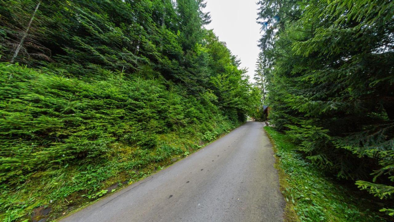 Karpatska Villa Mikuliczyn Zewnętrze zdjęcie